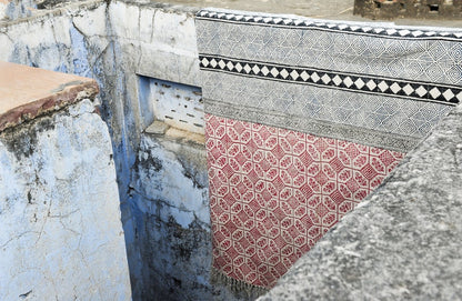 Red and Black Dhurrie Rug: Bohemian Geometric Cotton Area Rug (4 x 6)